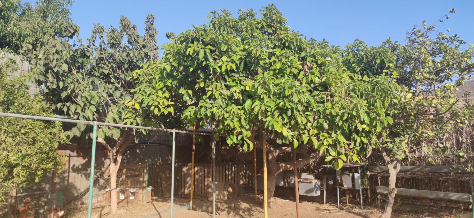 Casita Leos Daire Agüimes Dış mekan fotoğraf